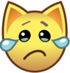 d_catcry Discord emoji