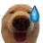 dogeto