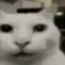 dubious