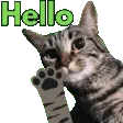 Hello