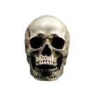 skull