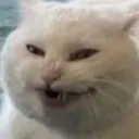 mwehehe mwehehe