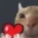 cat_heart