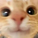 hi_hello_yes hi_hello_yes