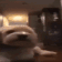 dogthrow