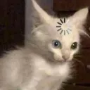 emoji_163 emoji_163