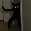 scarycat