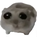 L_sad_hamster