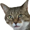 OliverHUH