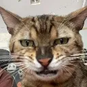 ew
