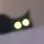 cateyes