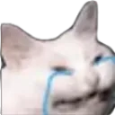 cri