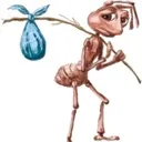 antwithbindle