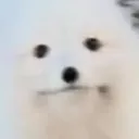__