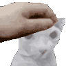 bingusgamingpat