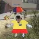 joyfuldog