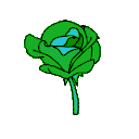 28683flowergreen