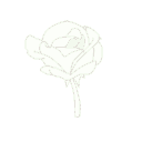 35128flowerwhite