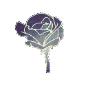 73056flowergray