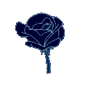 93771flowerdarkblue