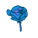 93771flowerblue