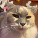 bruh_wtf_bruh_omg_bruh