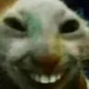 xdd