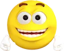 wsp