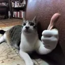 thumbsup