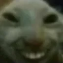 xdd xdd