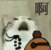 KC_cattungkinh