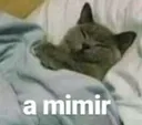 mimir