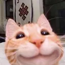 catsmile