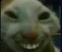 jajaszs