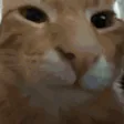 creeki1Buh