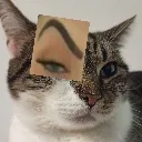 sideeye