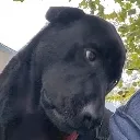 really_dude