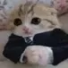 Basedcat