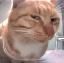 mrfresh