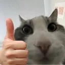 ok
