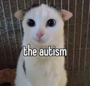 5467theautismstickersgg