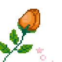 orange_flower Discord emoji