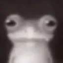 buh