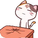 Animated_meongfacetable