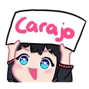 carajo_11zon