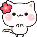 nod_cat