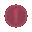 alert