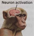 neuron Discord Emoji from A Janecito le gusta el penesito