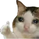 cry_thumbsup