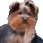 bbRant